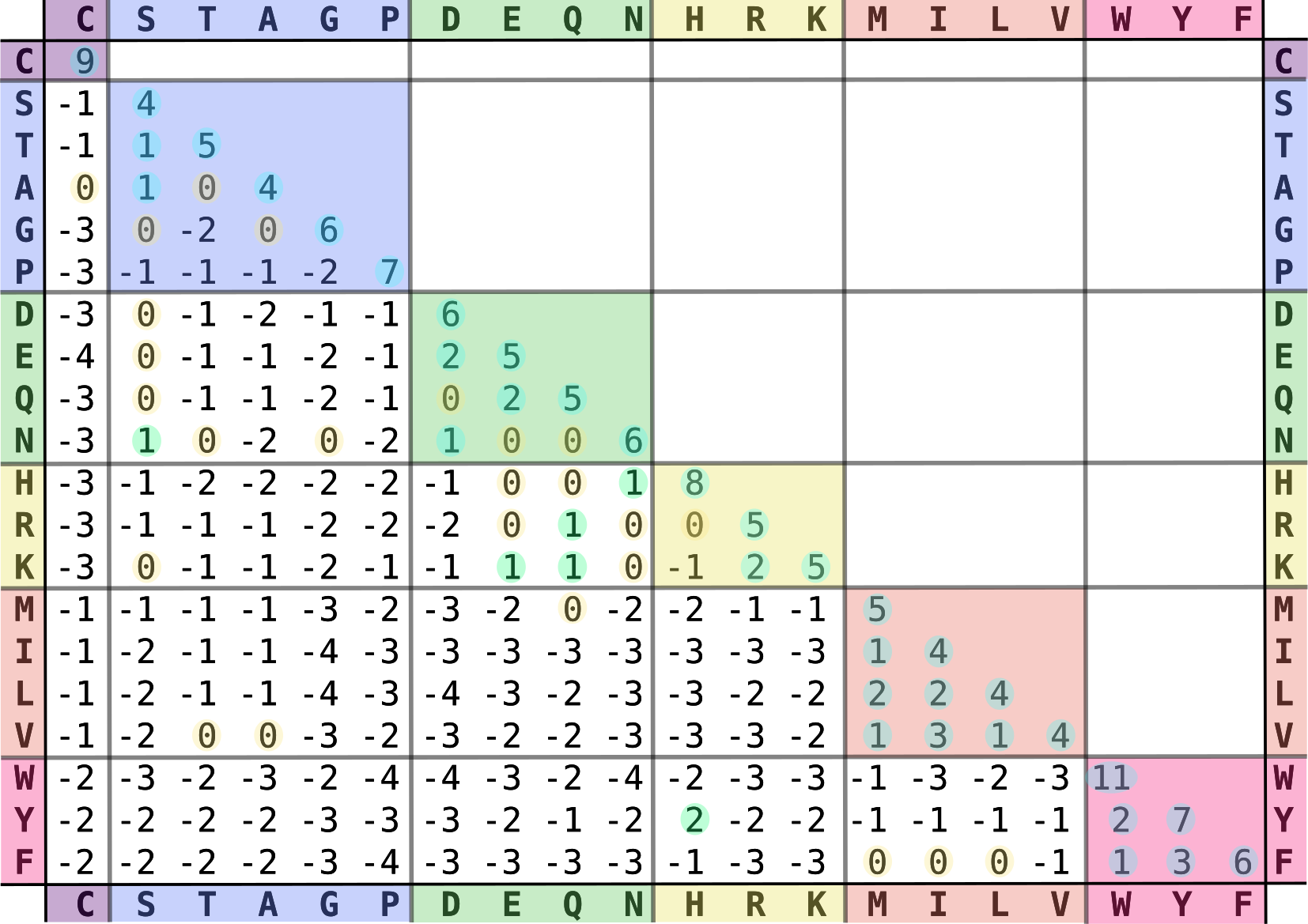BLOSUM62 氨基酸替换矩阵